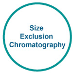 Size Exclusion Chromatography